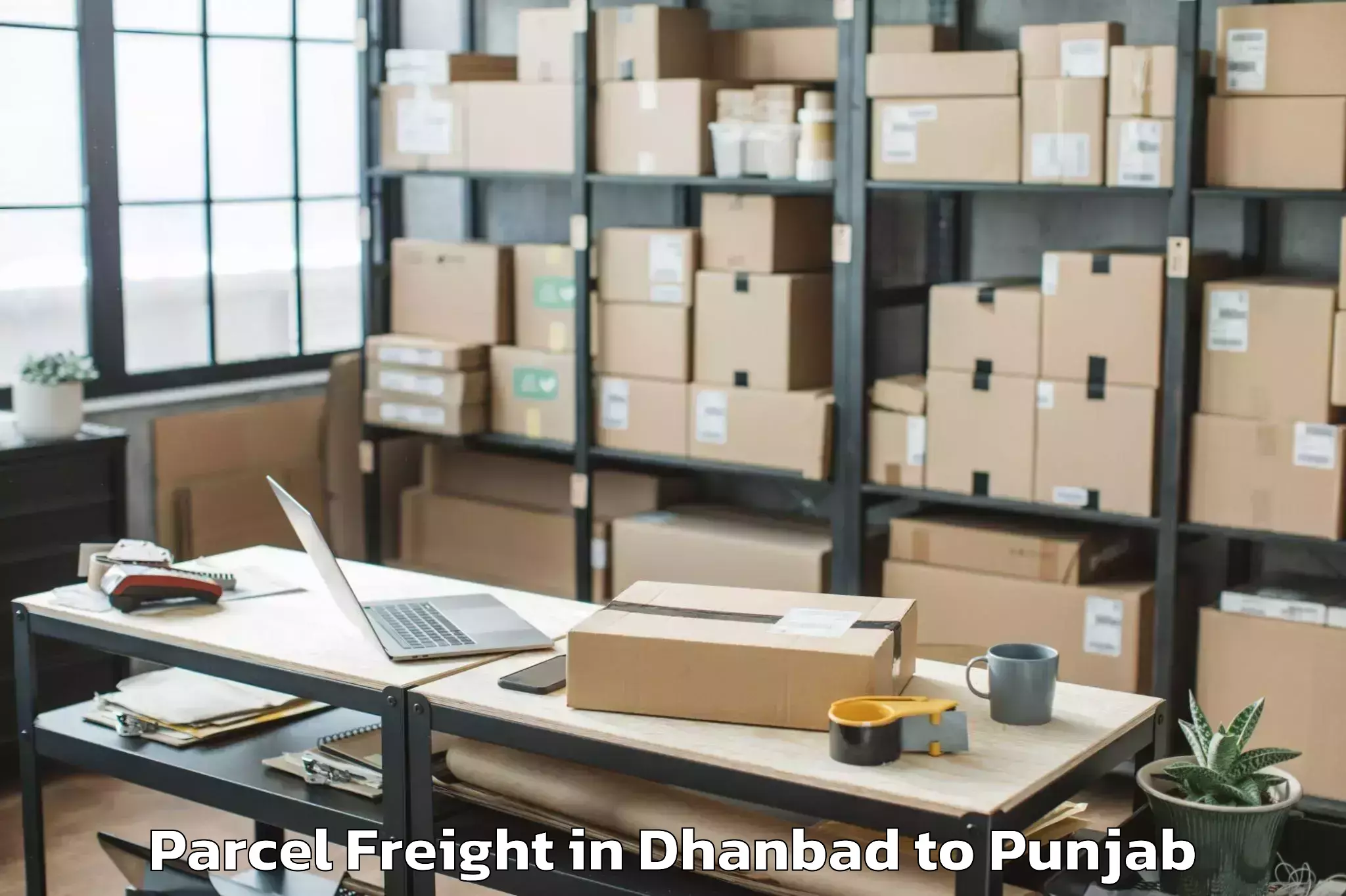 Hassle-Free Dhanbad to Rimt University Mandi Gobindga Parcel Freight